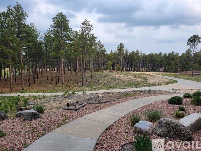 A paved walkway with rocks and shrubs on the sides leads through a forest.