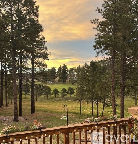 A wooden deck overlooks a grassy field with trees.
