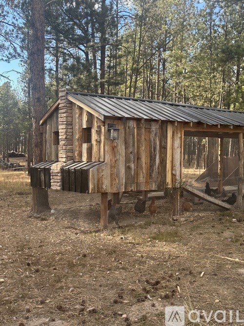 A small wooden cabin sits in a field with trees in the background.