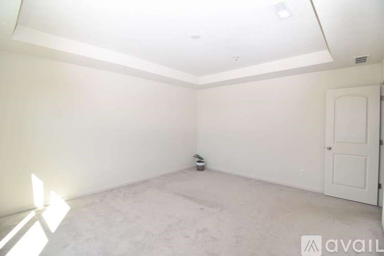 A room with a white door and a small plant on the floor.