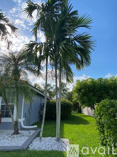 A house with a white fence and a palm tree in front.