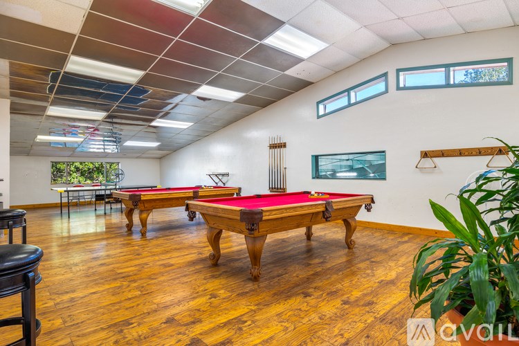 A room with a pool table and a plant.