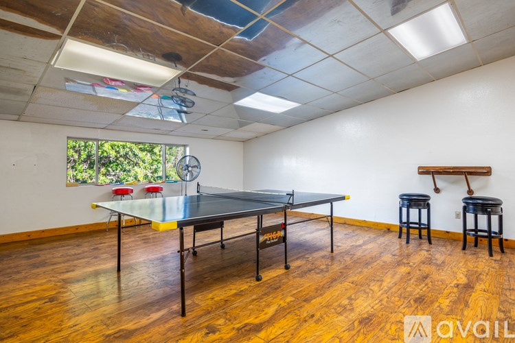 A ping pong table is in the middle of a room with wooden floors and a window.