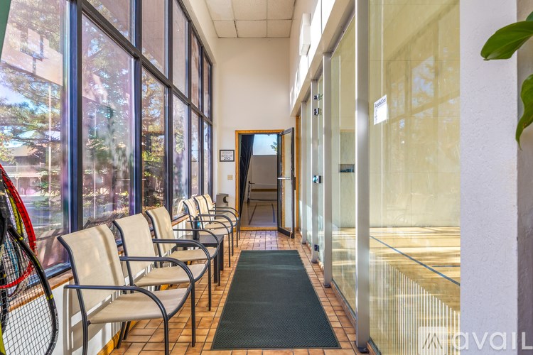 A row of chairs are lined up in a waiting area.