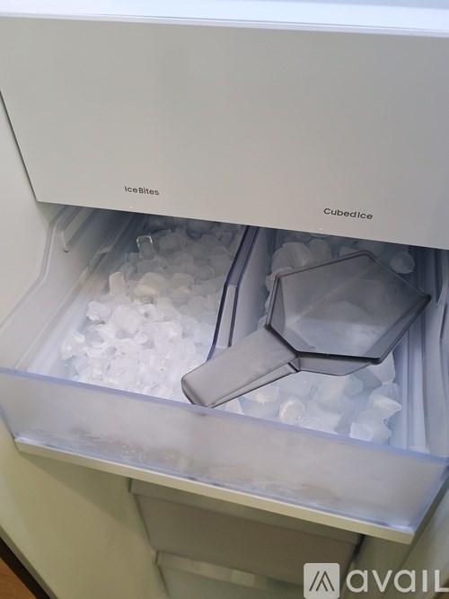 Ice cube trays inside an ice maker.