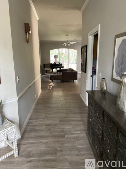 A dog is walking down a hallway with a piano in the background.
