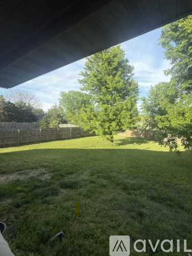 A backyard with a fence and trees.