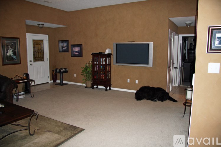 A black dog is lying on the floor in a living room.