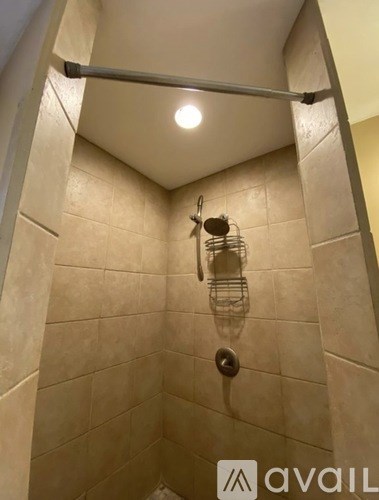 A tiled shower with a grab bar and a shower head.