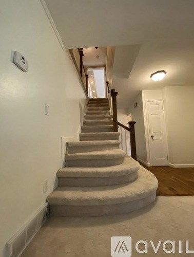A staircase with a carpeted runner and wooden banister.