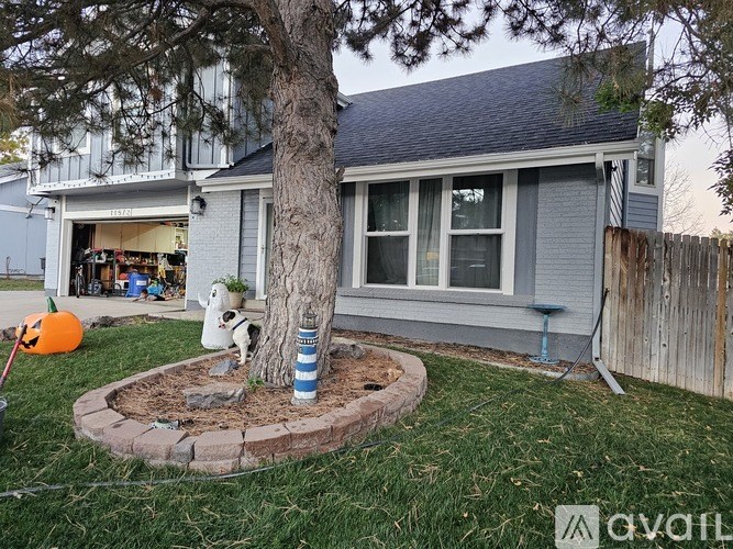 A tree in a garden in front of a house.