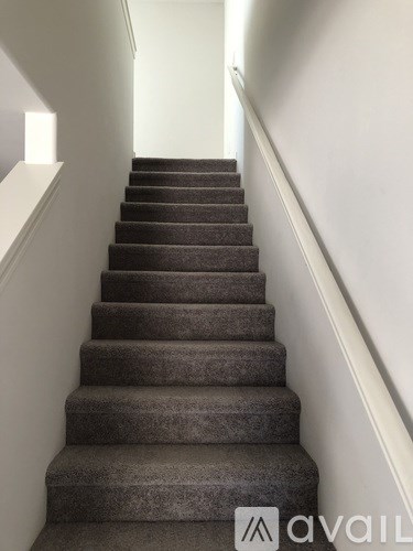 A set of stairs with a carpeted runner and white handrails.