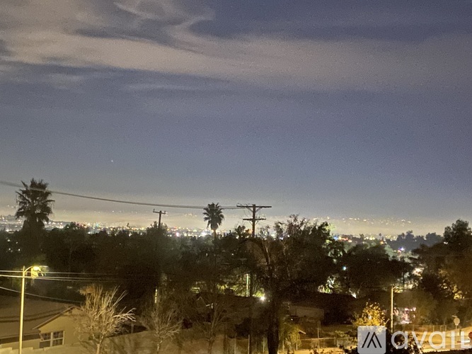 A view of a cityscape at night with palm trees and buildings.