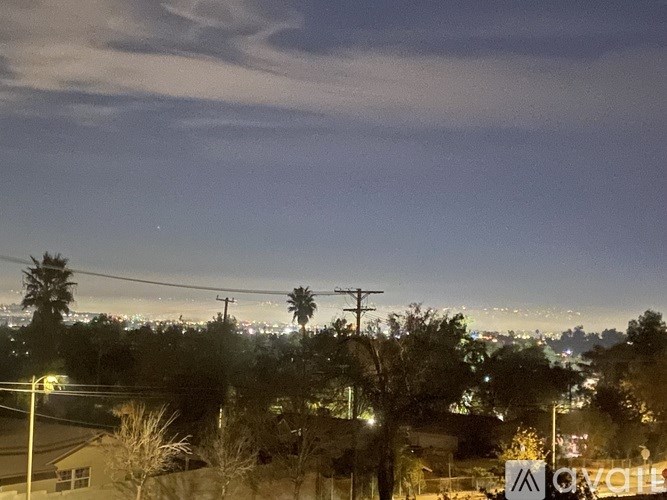 A view of a cityscape at night with palm trees and buildings.