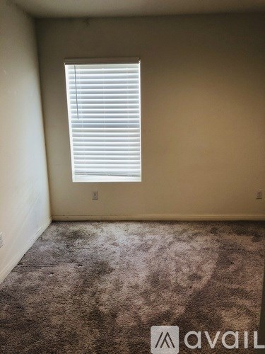A room with a carpeted floor and a window with blinds.
