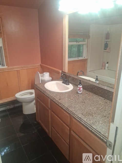 A bathroom with a toilet, sink, and mirror.