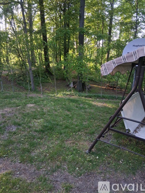 A bird is perched on a tree branch in a grassy area with trees in the background.