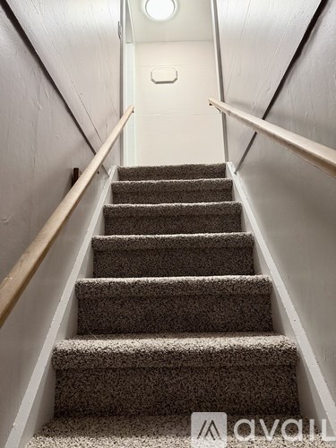 A staircase with a carpeted runner and wooden handrails.
