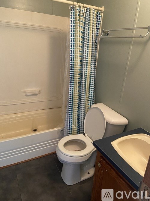 A white toilet sits next to a sink in a bathroom.