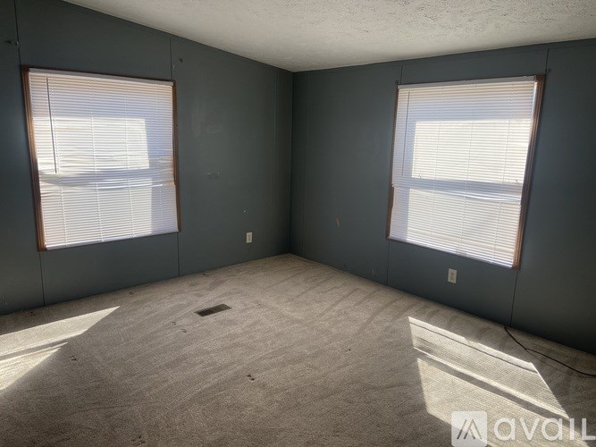 A room with two windows and carpeted floor.