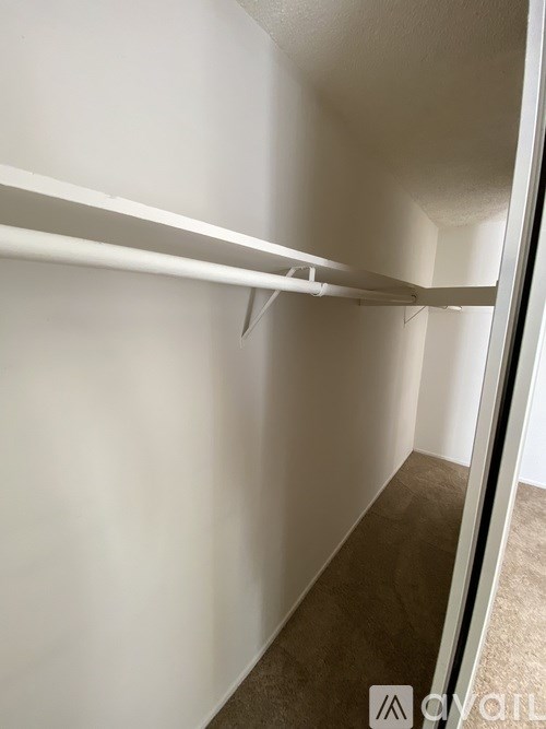 A white closet with a carpeted floor and a white door.