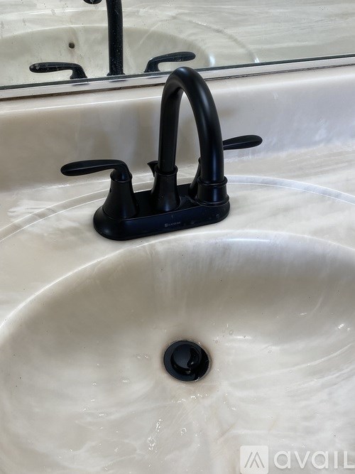 A black faucet is on a white sink.