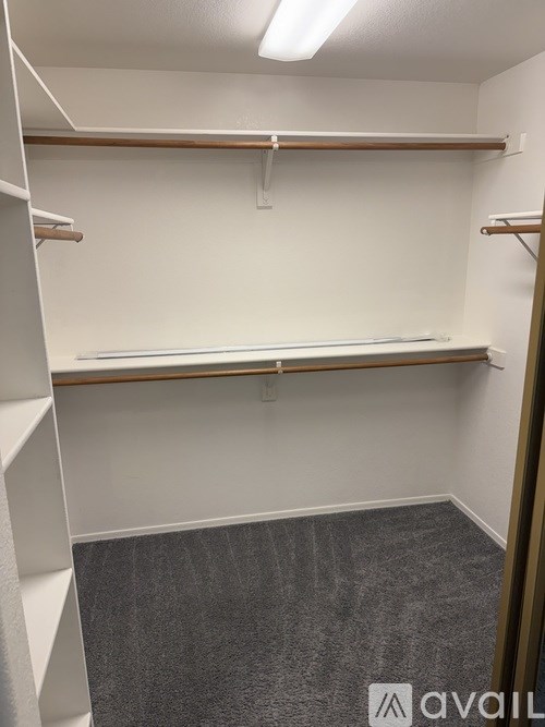 Empty walk-in closet with shelves and a carpeted floor.