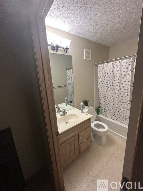 A bathroom with a toilet, sink, and shower curtain.