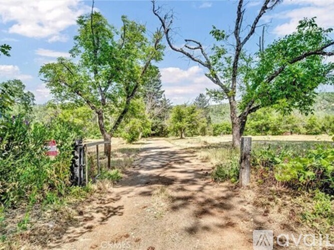 A dirt road leads through a green, leafy area.