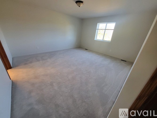 A room with a window and a carpeted floor.
