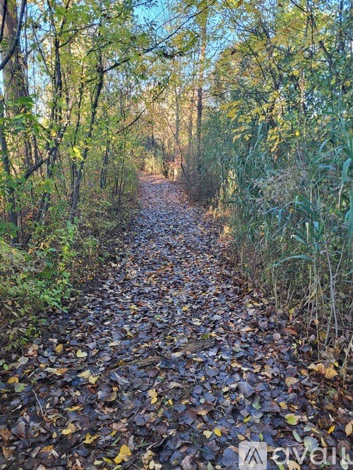 A path covered in leaves leads through a wooded area.
