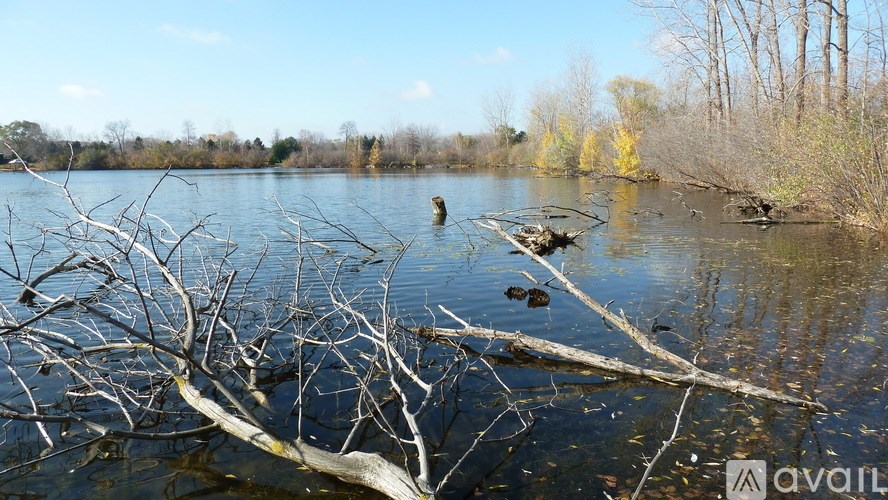A drone flies over a body of water with dead trees in the foreground.