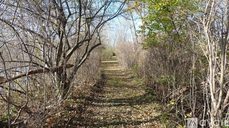 A pathway surrounded by trees in a wooded area.