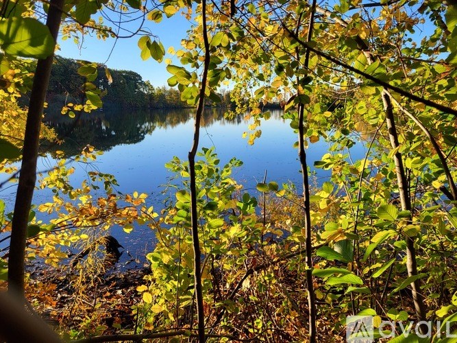 A serene lake surrounded by trees with autumn leaves.