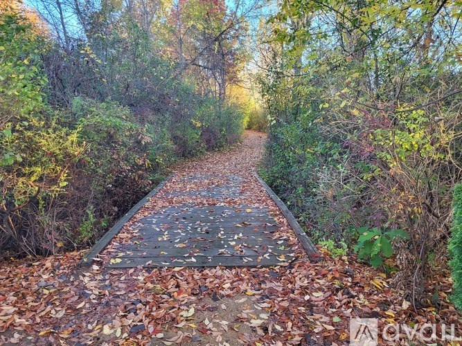 A path covered in leaves with trees on both sides.