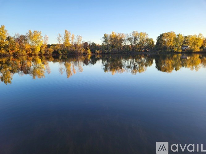 A serene lake surrounded by trees with their leaves changing colors.