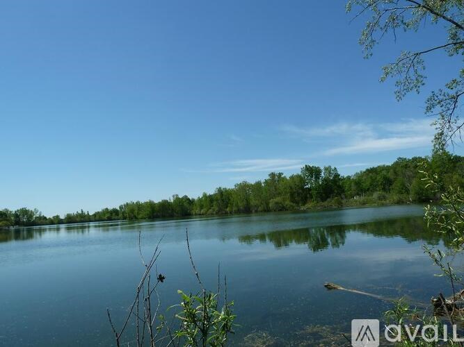 A serene lake surrounded by lush greenery under a clear blue sky.