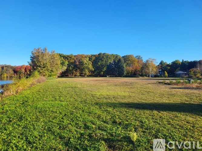 A grassy field with trees in the background and a body of water on the left.