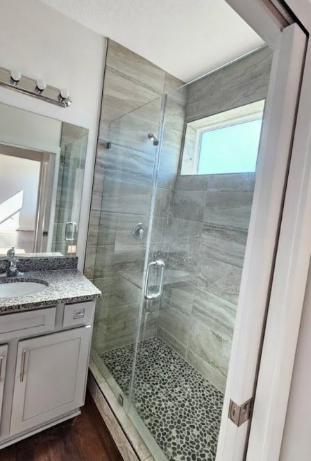 A bathroom with a walk-in shower and a sink.