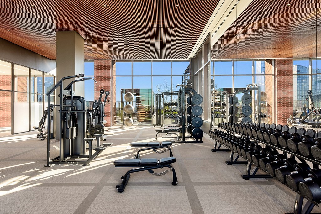 A gym with a variety of equipment including treadmills, weights, and benches.