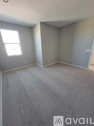 A room with a window and a carpeted floor.