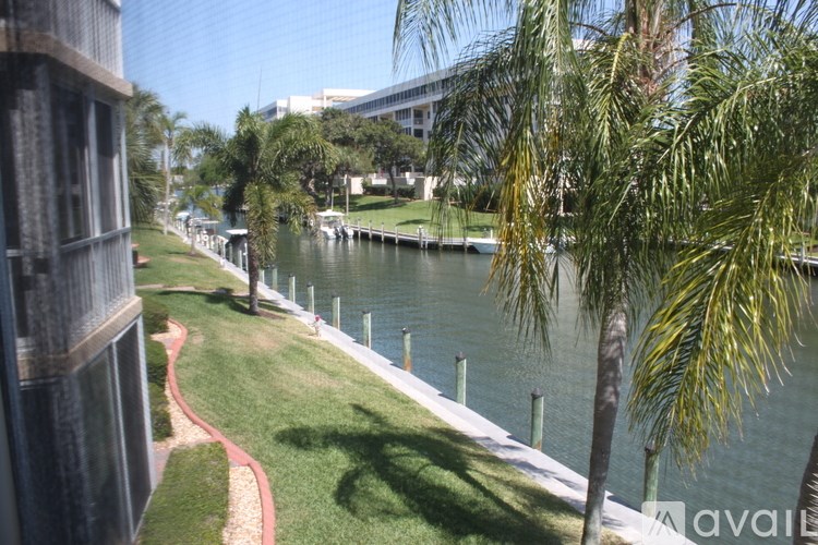 A tree is in front of a body of water.