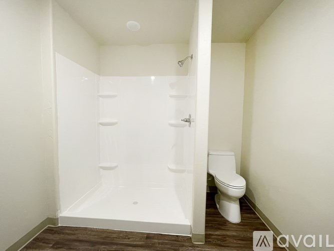 A white bathroom with a toilet and a walk-in shower.