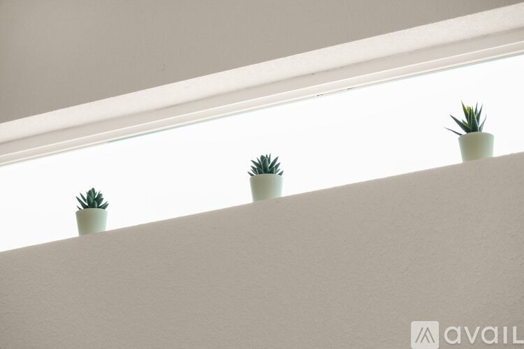 Three small potted plants are placed on a white ledge.