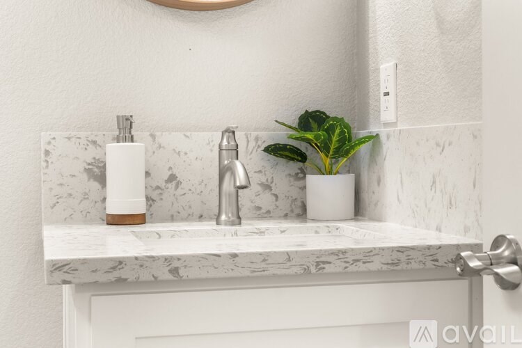 A bathroom sink with a marble countertop and a potted plant on it.
