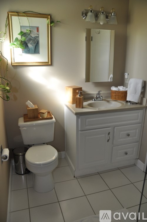 A bathroom with a toilet, sink, mirror, and a potted plant.