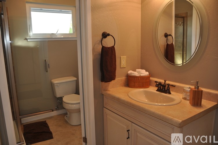 A bathroom with a toilet, sink, and shower.