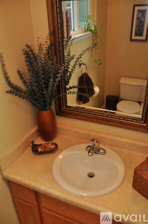A bathroom with a white sink and a mirror.