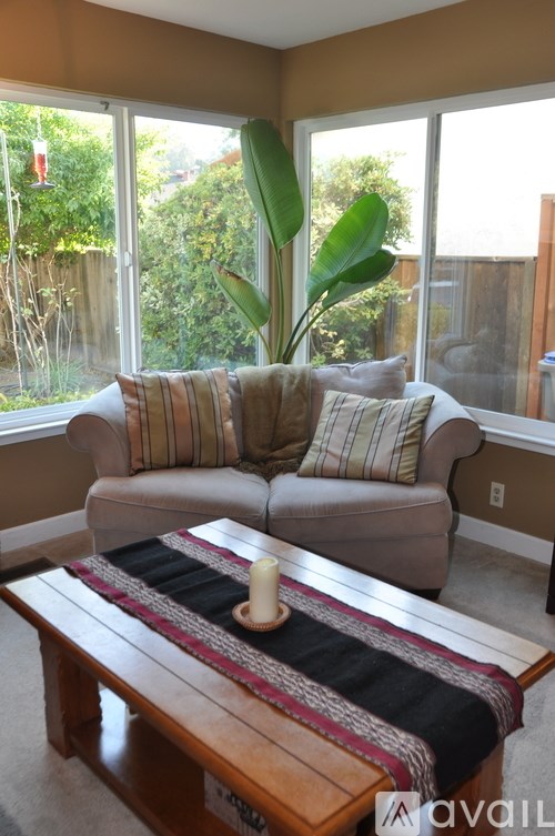 A couch with striped pillows sits in front of a window with a view of a backyard.