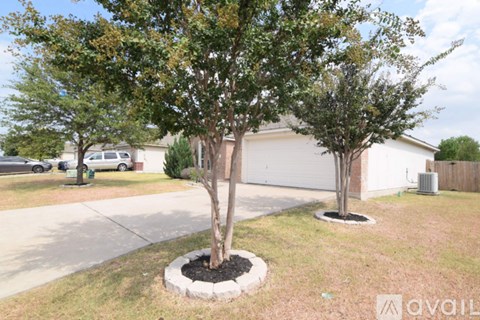 A tree in a landscaped area in front of a house.